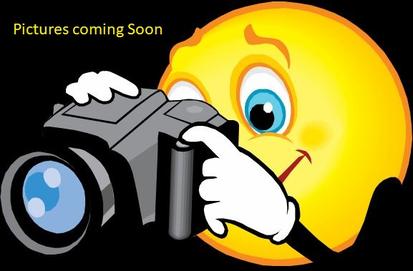 Peekin' Over Pigeon Forge